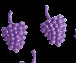 Uvas — El Mundo de Sophia