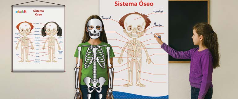 Entendiendo mi Cuerpo “Sistema Óseo” Divertidísimo juego que — El Mundo de Sophia